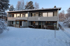 Santa's neighbor in Rovaniemi